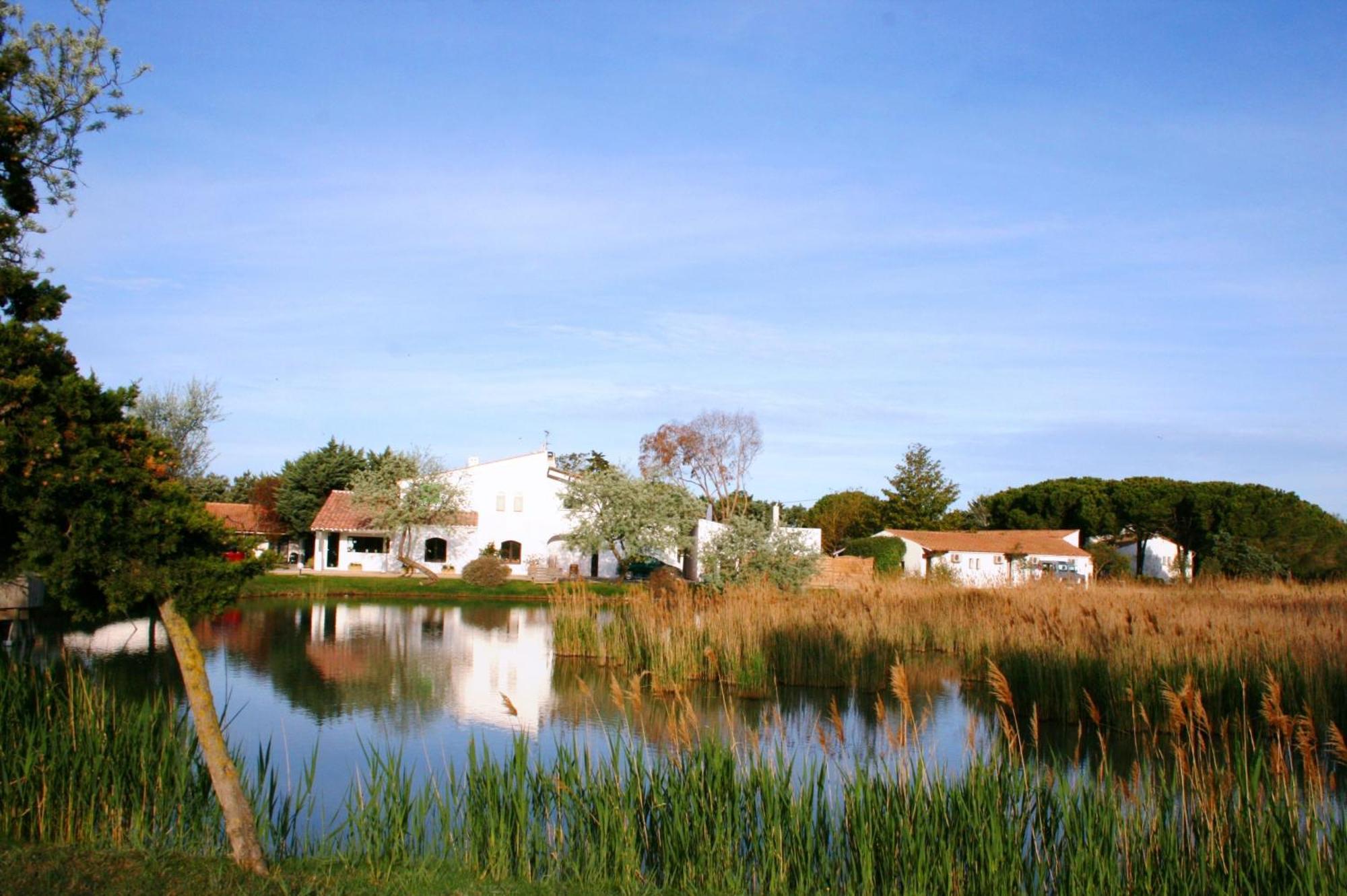 Les Rizieres Hotel Saintes-Maries-de-la-Mer Kültér fotó