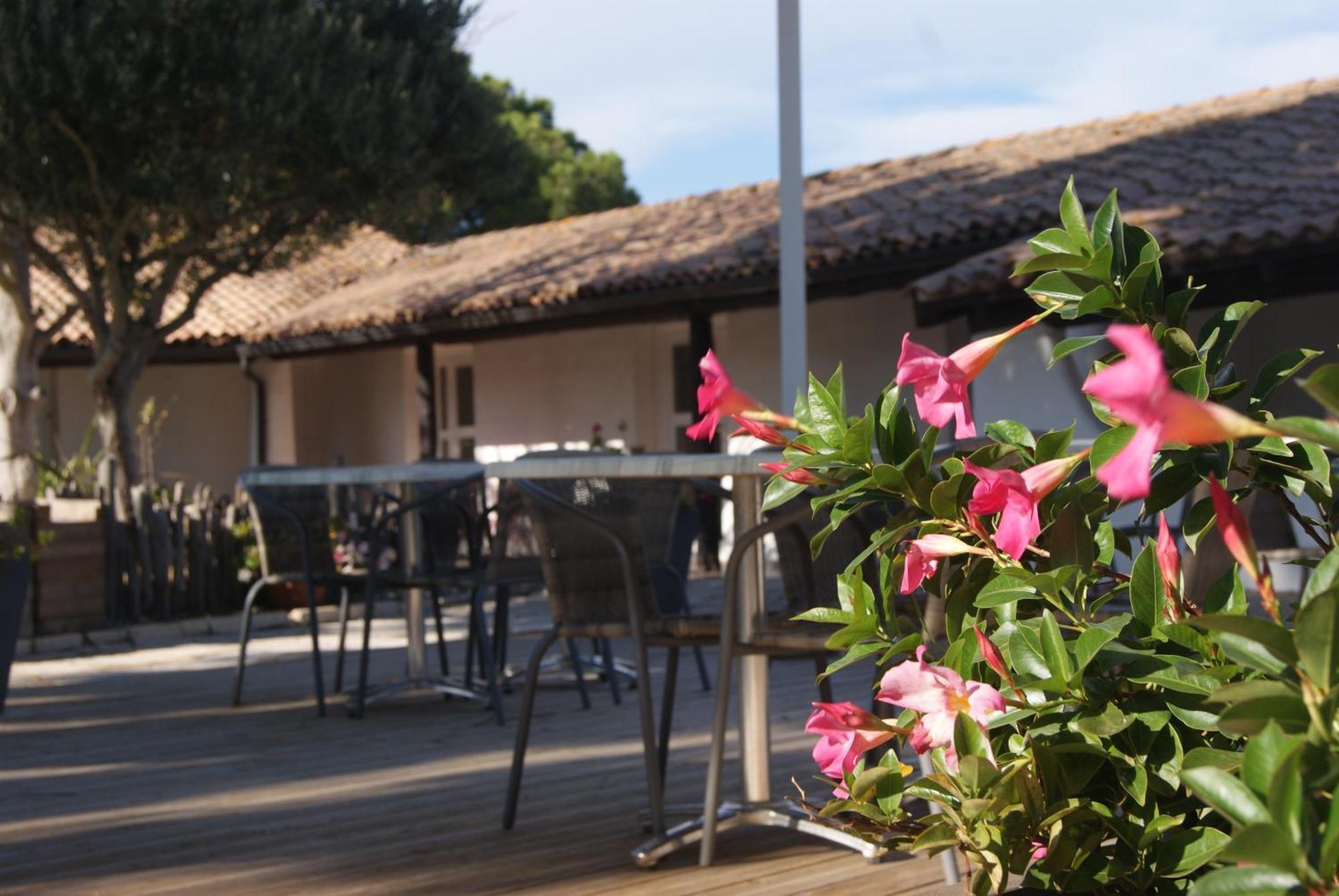 Les Rizieres Hotel Saintes-Maries-de-la-Mer Kültér fotó